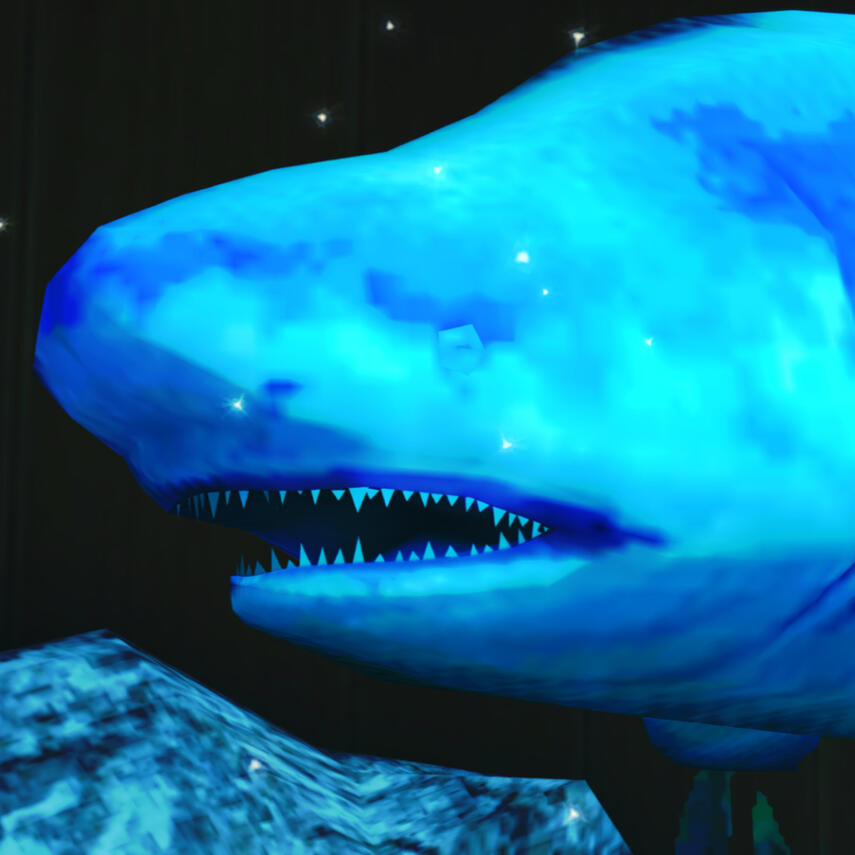 Venue Mascot: Finnigan!